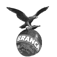 Eagle Globe Sticker by Fernet Branca