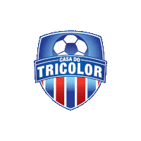 Bahia Ct Sticker by Casa Tricolor