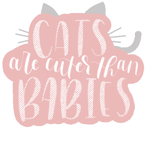 jesswritesonthings giphyupload cat cats kitten Sticker