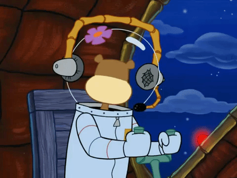 season 6 GIF by SpongeBob SquarePants
