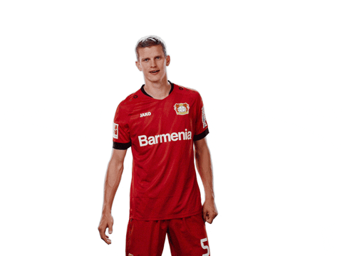 Bayer 04 Facepalm GIF by Bayer 04 Leverkusen