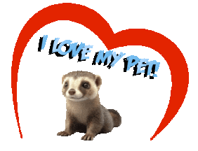 Guinea Pig Love Sticker