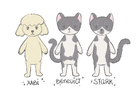 icecreamninja giphyupload cat dog maltese Sticker