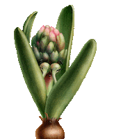 Spring Easter Sticker