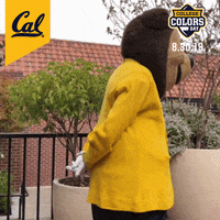 College Sports Cal GIF by College Colors Day