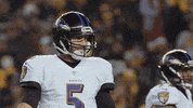 Happy National Football League GIF by Baltimore Ravens