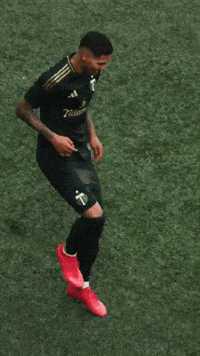 Portland Timbers Dancing GIF by Major League Soccer