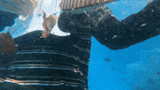 Guitar Swimming GIF by Topshelf Records