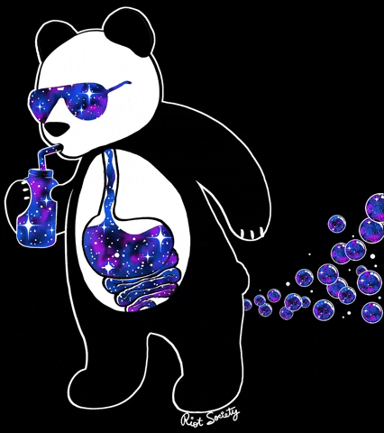 Panda Bear Love GIF by Riot Society