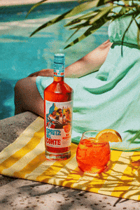 Summer Refreshing GIF by Spritz Del Conte