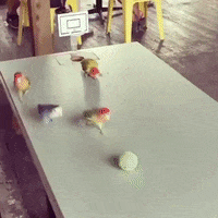 Excited Basketball GIF by JustViral.Net