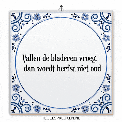 Nl Spreuk GIF by Tegelspreuken.nl