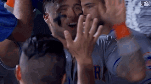 Happy Ny Mets GIF by New York Mets