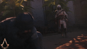 Take This Fight GIF by Assassin's Creed