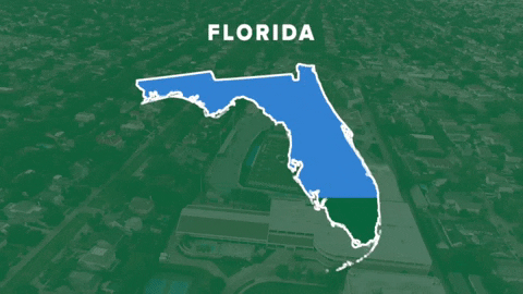 wave egg GIF by GreenWave