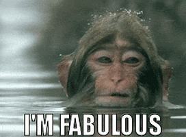 I M GIF by memecandy