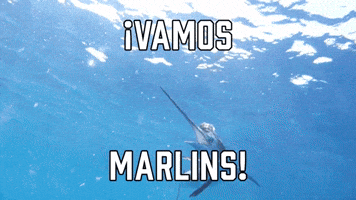 ยกVamos Marilns!