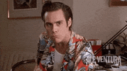 jim carrey alrighty then GIF by Ace Ventura