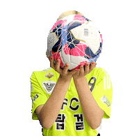 Football Sport Sticker