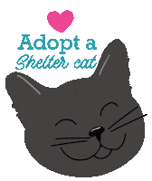 Cat Adopt Sticker by HeARTs Speak