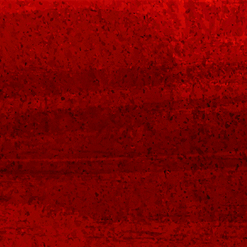 fsvzwickau giphyupload 3liga fsv zwickau GIF