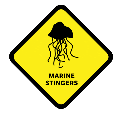 lifesavingqld giphyupload beach danger jellyfish Sticker