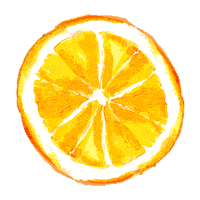 Orange Fruit Sticker by derkleinemuc