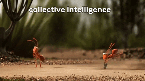 tyneesha giphygifmaker teamwork bcm112 collective intelligence GIF