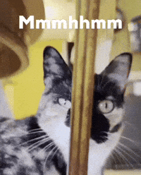 sus suspicious judging mhm mhmm GIF