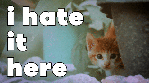 Fed Up Crying GIF by Sealed With A GIF