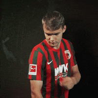 Logo Bundesliga GIF by FC Augsburg 1907