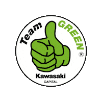 Team Green Kawasaki Sticker by Ride MB Garage