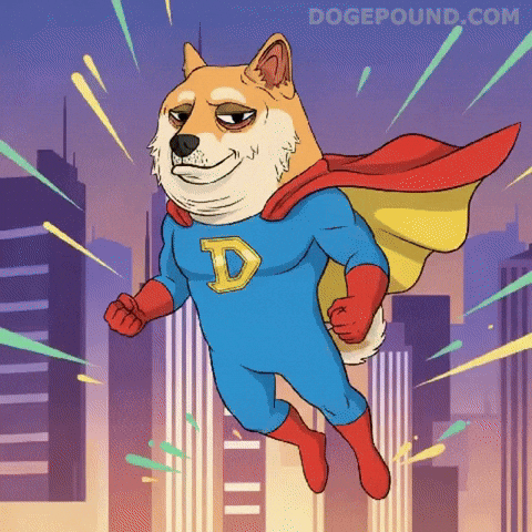 Flying Lets Go GIF by Doge Pound