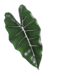 Chelcieelise happy green earth plant Sticker
