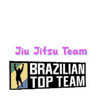 Denise Gamonal Sticker by Brazilian Top Team