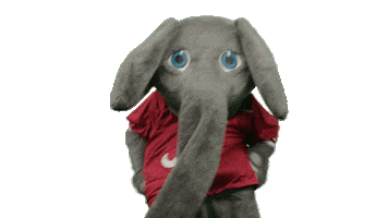 Alabama Football Ua Sticker by The University of Alabama