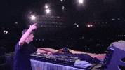 2018 GIF by Martin Garrix