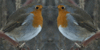 page front GIF
