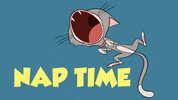 ZipZipOfficial cat cats night tired GIF