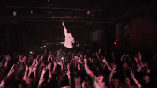 lost in translation dance GIF by New Politics