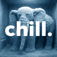 Chill Out GIF by The LSD Hotel
