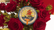 i love you wow GIF by Petrossian