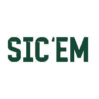 Baylor Bears Baseball Sticker by Baylor Athletics