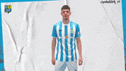 Football Tor GIF by ChemnitzerFC