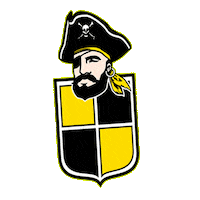 Aurinegro Sticker by coquimbounido