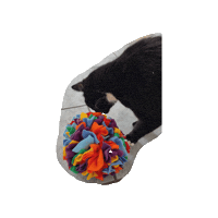 Katze Sticker by Pawcordbyfranzi