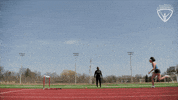Arc Olympian GIF by All-Round Champion