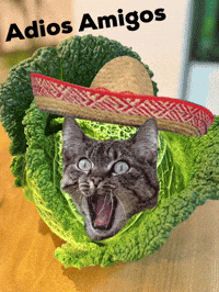 Adios Amigos Cat GIF