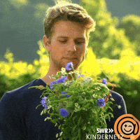 Tiere Bis Unters Dach Love GIF by SWR Kindernetz