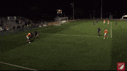 major league soccer GIF by Houston Dynamo